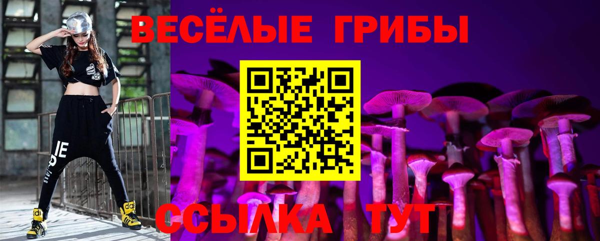 Галлюциногенные грибы прущие грибы  Вход с VPN  Ступино 
